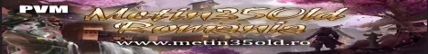 Metin35Old.ro - PVM